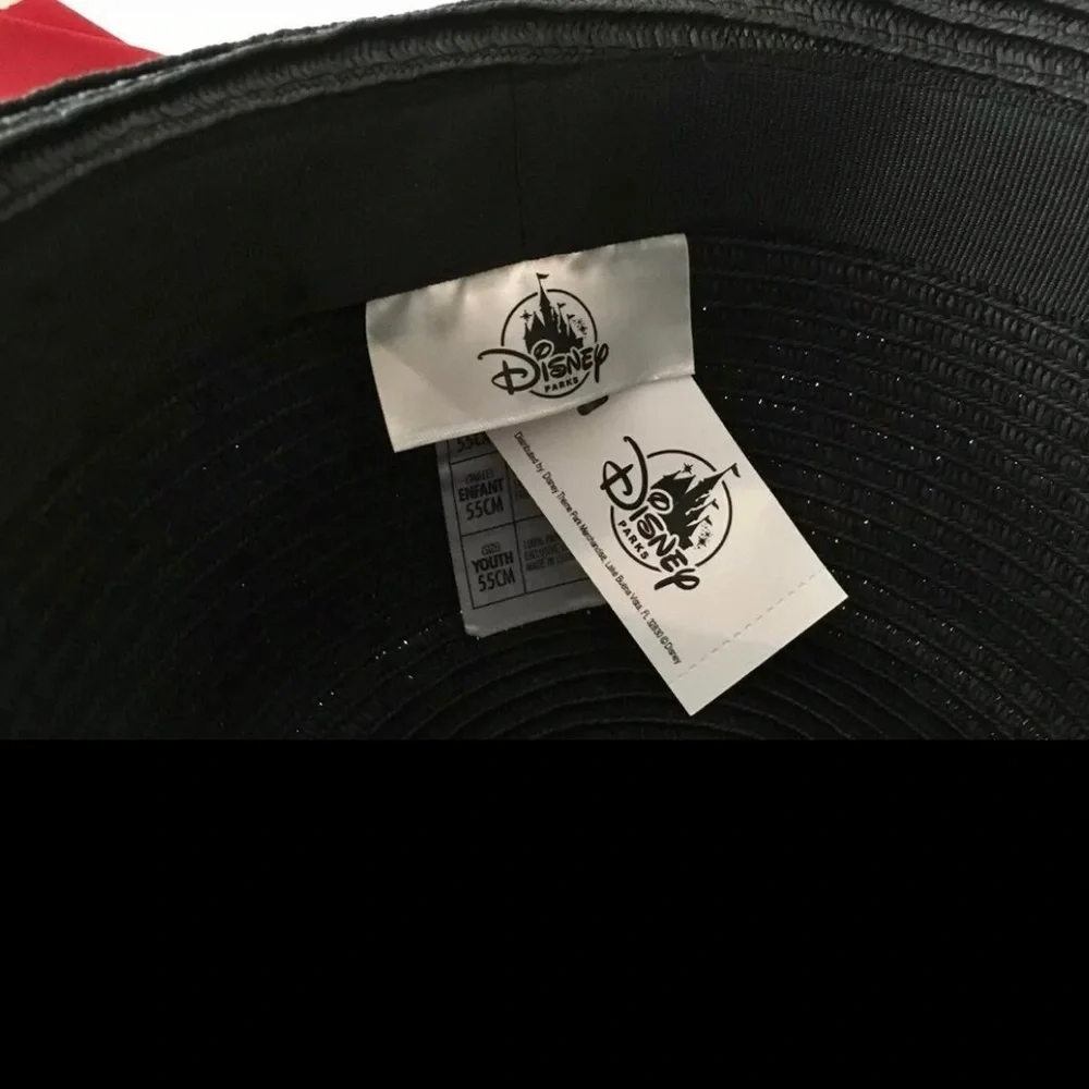 Disney Summer Hat